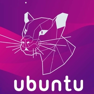 Ubuntu 20.04 (64bit)